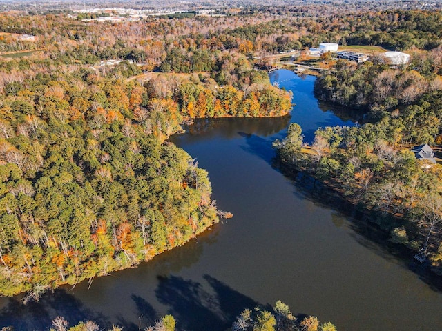 Lake Cunningham Rd, Greer, SC 29651 - photo 3