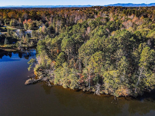 Lake Cunningham Rd, Greer, SC 29651 - photo 4