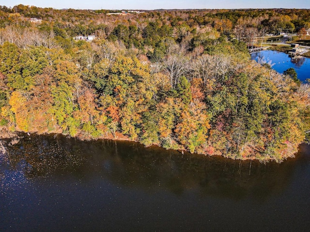 Lake Cunningham Rd, Greer, SC 29651 - photo 5