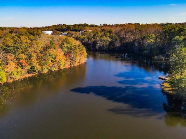 Lake Cunningham Rd, Greer, SC 29651 - photo 7
