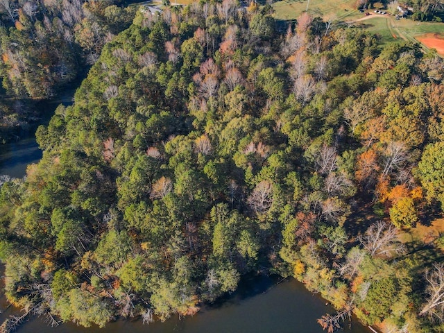 Lake Cunningham Rd, Greer, SC 29651 - photo 8