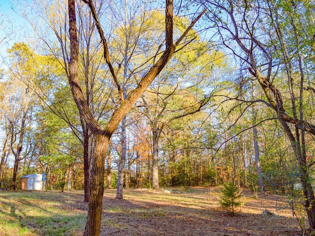 Lake Cunningham Rd, Greer, SC 29651 - photo 11