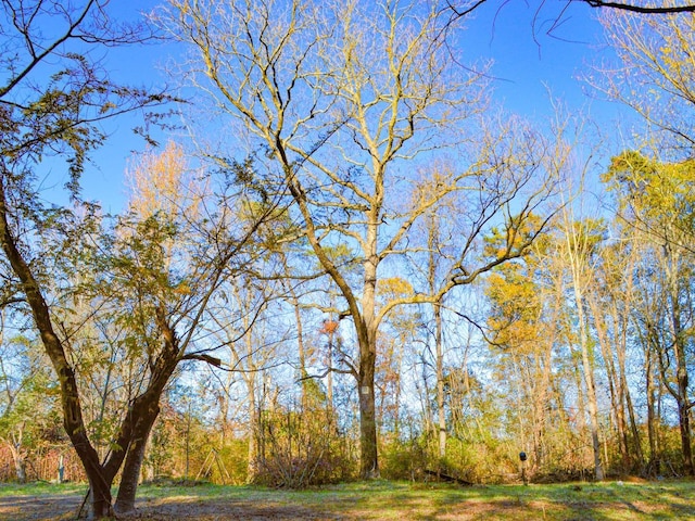 Lake Cunningham Rd, Greer, SC 29651 - photo 12