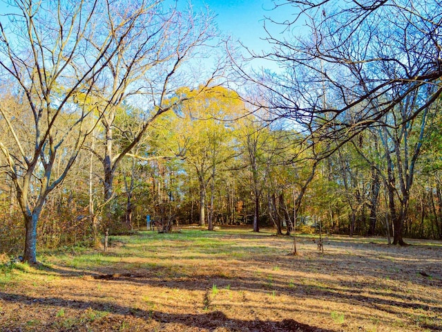 Lake Cunningham Rd, Greer, SC 29651 - photo 13