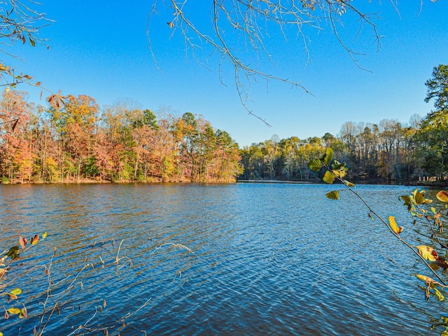 Lake Cunningham Rd, Greer, SC 29651 - photo 14