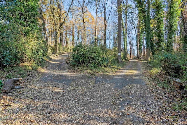 1020 Woodburn Rd, Spartanburg, SC 29302 - photo 38