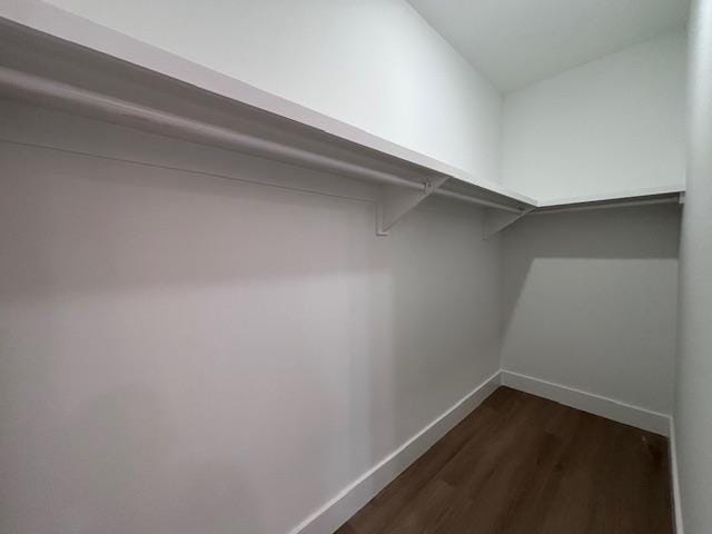 179 Cedar Ave, Wellford, SC 29385 - spacious closet with dark wood-type flooring