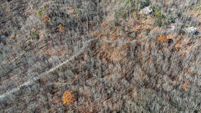 00 Panther Park Trl, Travelers Rest, SC 29690 - photo 2