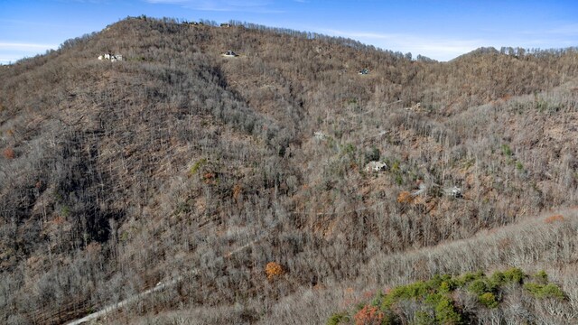 00 Panther Park Trl, Travelers Rest, SC 29690 - photo 3