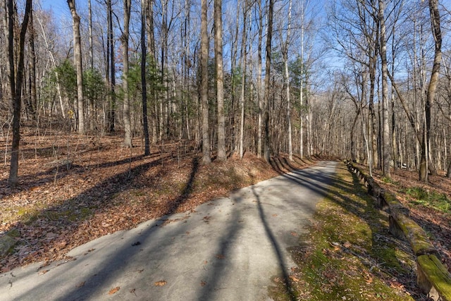 00 Panther Park Trl, Travelers Rest, SC 29690 - photo 21