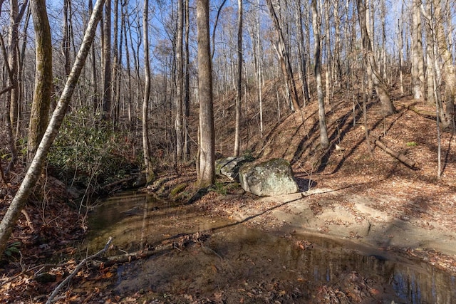 00 Panther Park Trl, Travelers Rest, SC 29690 - photo 22