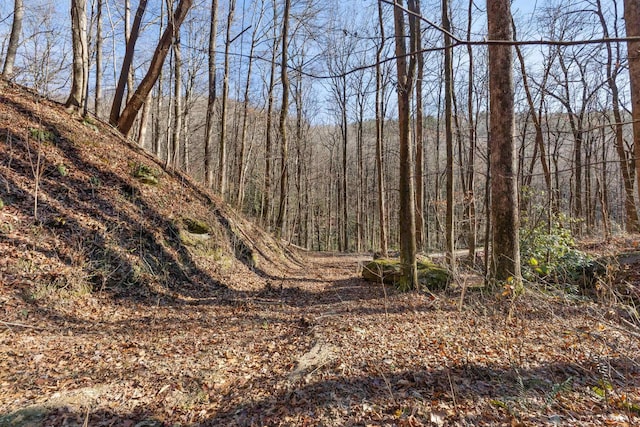 00 Panther Park Trl, Travelers Rest, SC 29690 - photo 23
