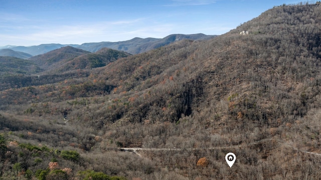 00 Panther Park Trl, Travelers Rest, SC 29690 - photo 24