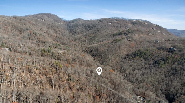 00 Panther Park Trl, Travelers Rest, SC 29690 - photo 25