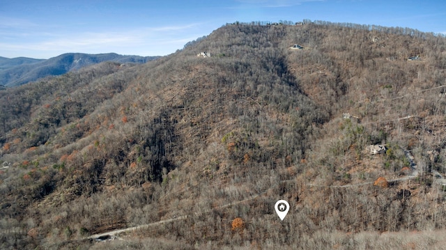 00 Panther Park Trl, Travelers Rest, SC 29690 - photo 26