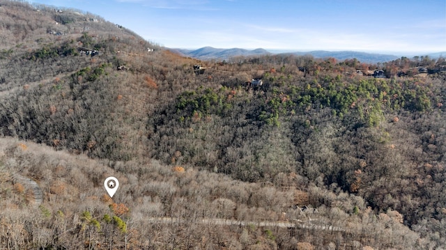 00 Panther Park Trl, Travelers Rest, SC 29690 - photo 27