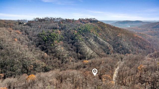 00 Panther Park Trl, Travelers Rest, SC 29690 - photo 28