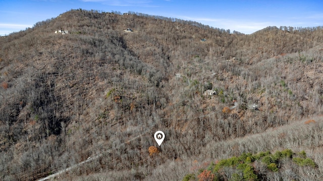 00 Panther Park Trl, Travelers Rest, SC 29690 - photo 30