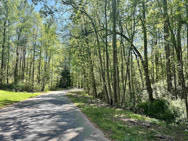 Hampton Blvd, Gaffney, SC 29341 - photo 2