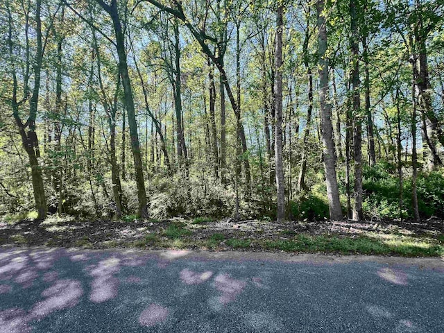 Hampton Blvd, Gaffney, SC 29341 - photo 3
