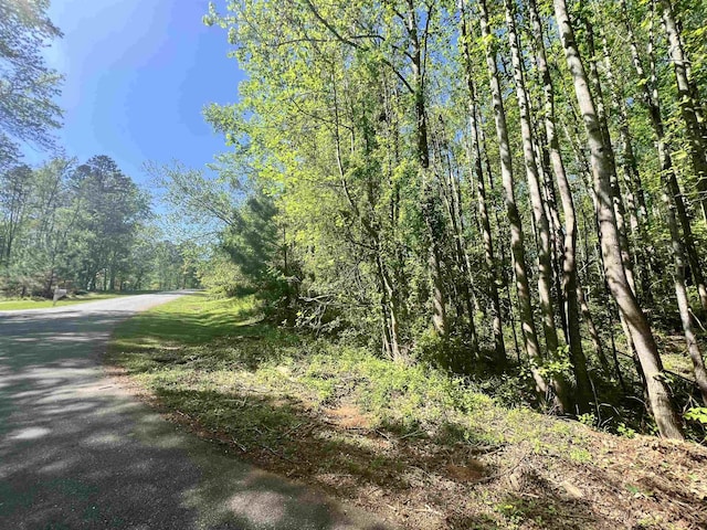 Hampton Blvd, Gaffney, SC 29341 - photo 1