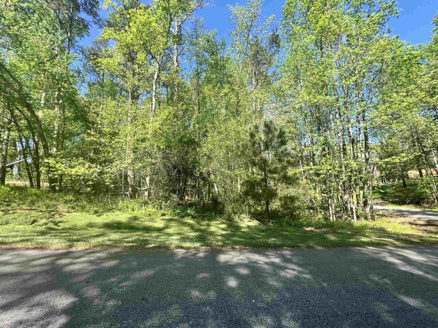 Hampton Blvd, Gaffney, SC 29341 - photo 6