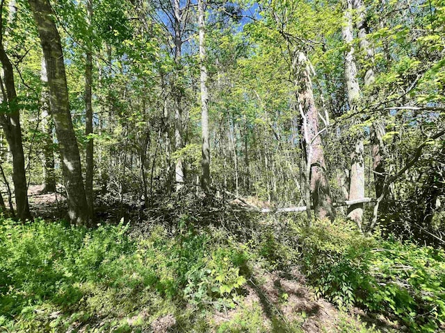 Hampton Blvd, Gaffney, SC 29341 - photo 7