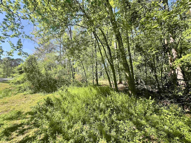 Hampton Blvd, Gaffney, SC 29341 - photo 8