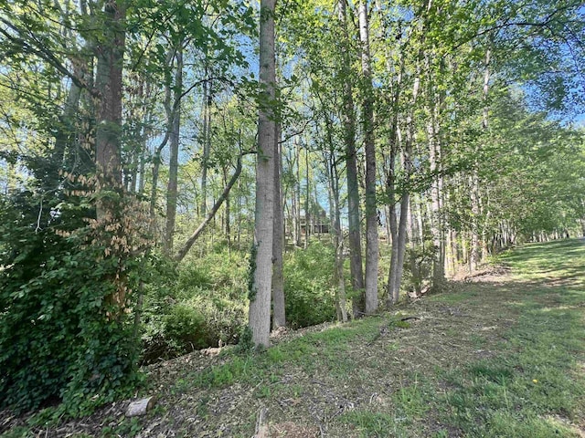 Hampton Blvd, Gaffney, SC 29341 - photo 11