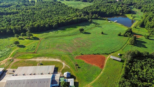 00 Woodville Rd, Pelzer, SC 29669 - photo 3