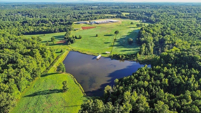 00 Woodville Rd, Pelzer, SC 29669 - photo 6