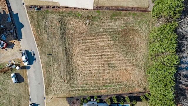 563 Adaliz Way, Greer, SC 29651 - photo 9