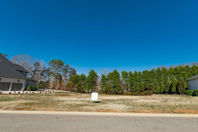 563 Adaliz Way, Greer, SC 29651 - photo 6
