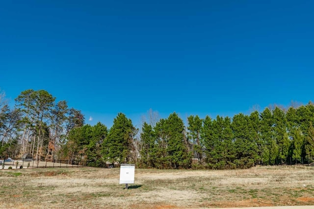 563 Adaliz Way, Greer, SC 29651 - photo 5