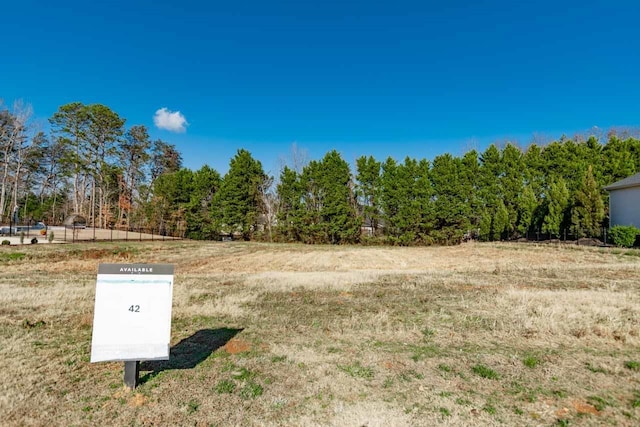 563 Adaliz Way, Greer, SC 29651 - photo 15