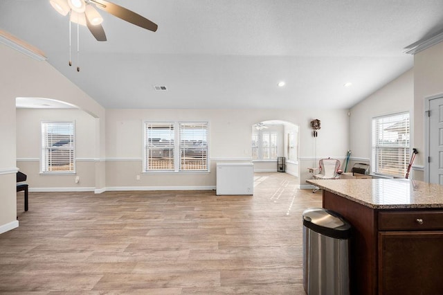 1135 Wanley Way, Boiling Springs, SC 29316 - kitchen featuring lofted ceiling, arched walkways, ceiling fan, open floor plan, and healthy amount of natural light