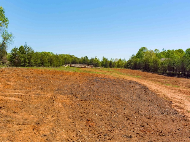 2590 Foster Rd, Inman, SC 29349 - photo 9