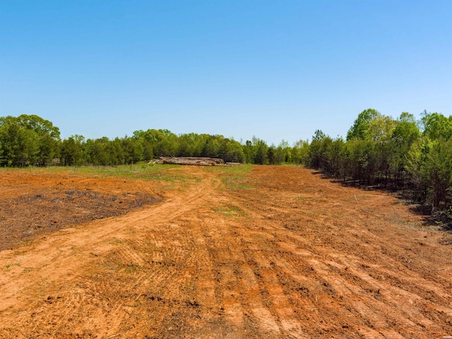 2590 Foster Rd, Inman, SC 29349 - photo 10