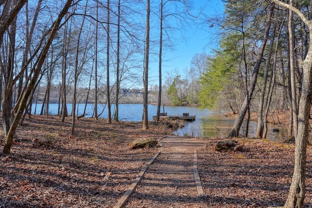 145 Rushing Waters Dr, Inman, SC 29349 - water view featuring a dock