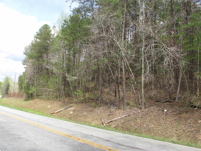 0 White Plains Rd, Gaffney, SC 29340 - photo 4
