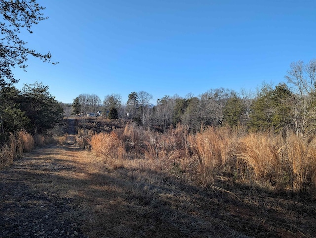 440 Old Melvin Hill Rd, Campobello, SC 29322 - photo 2