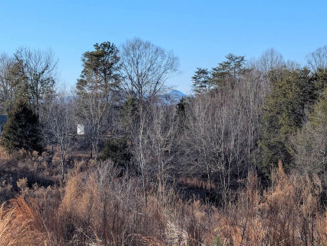 440 Old Melvin Hill Rd, Campobello, SC 29322 - photo 3
