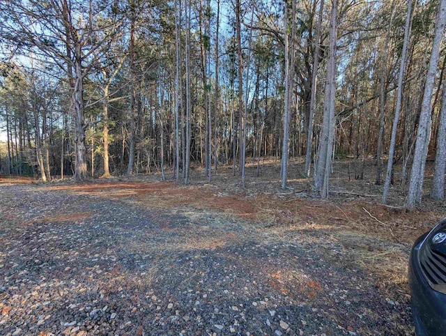 440 Old Melvin Hill Rd, Campobello, SC 29322 - photo 8
