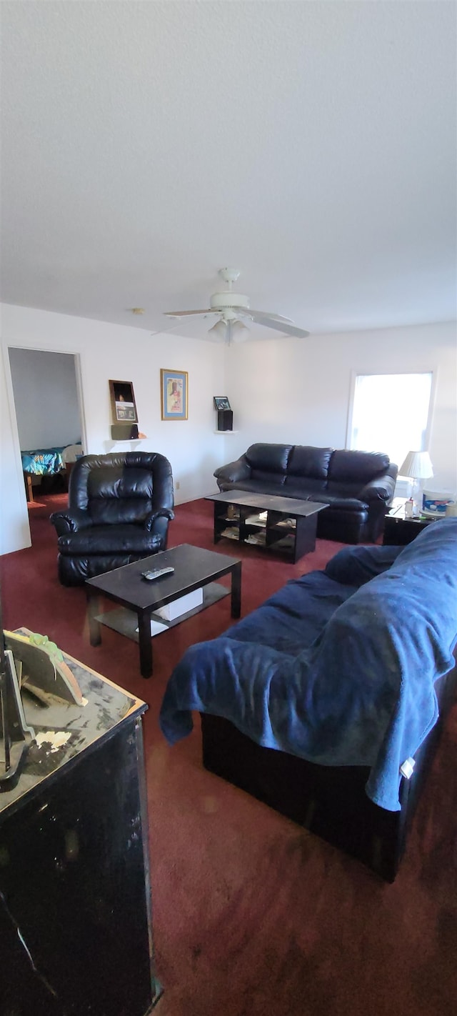 207 Woodlawn Dr, Gaffney, SC 29340 - photo 14