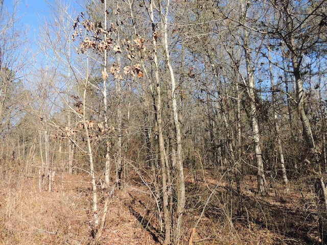 1581AND1601 S Danzler Rd, Duncan, SC 29334 - photo 12
