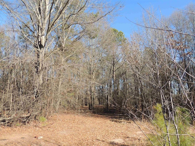 1581AND1601 S Danzler Rd, Duncan, SC 29334 - photo 13