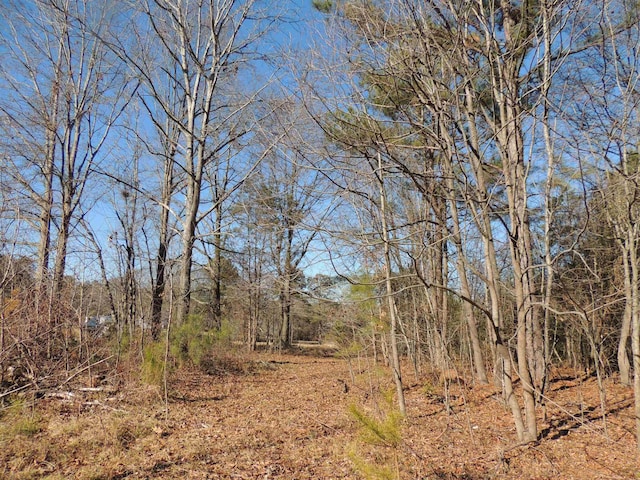 1581AND1601 S Danzler Rd, Duncan, SC 29334 - photo 14