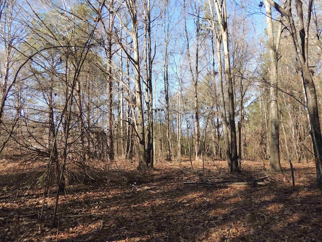 1581AND1601 S Danzler Rd, Duncan, SC 29334 - photo 15