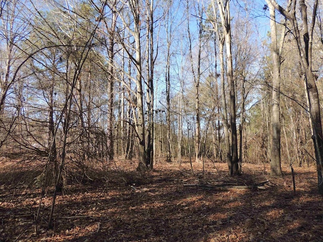 1581AND1601 S Danzler Rd, Duncan, SC 29334 - photo 16
