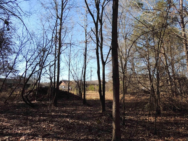 1581AND1601 S Danzler Rd, Duncan, SC 29334 - photo 17